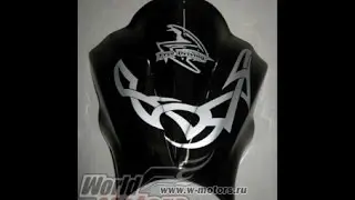 Windscreen for the AlfA moped