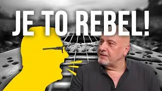 Umelec a zdravý rozum?