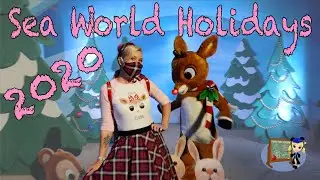 Sea World Holiday Celebration: How Many Things Did We Get Wrong?