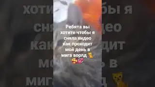 20 января 2023 г.