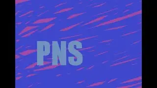 PNS Series: Temposync FF- and FB-Delay