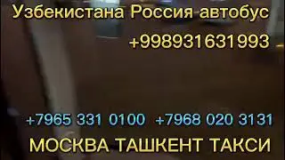 МОСКВА ТАШКЕНТ ТАКСИ!! +998931631993 #узбекистан #россия #автобус #худжанд