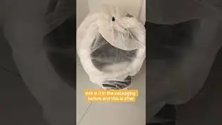 Best. Idea. Ever.