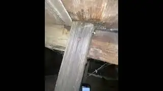Termite Treatment Excellence Services At A1 Pest Control Canberra
