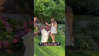 5 Dog Travel Tips with @holafly 🐶😍 #holafly #eSIM #UnlimitedData #travel #tips #samoyed #dog