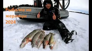 Расставил жерлицы и тут началось!!! Сработки на жерлицы одна за одной! Клевая рыбалка на реке Обь.