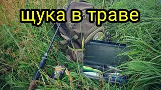 КАК ЛОВИТЬ ЩУКУ В ТРАВЕ ??? ЛОВЛЯ ЩУКИ В ЖАРУ !!!