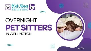 Overnight Pet Sitters in Wellington Colorado | (970) 980-1325