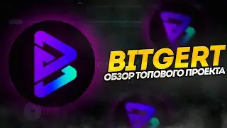 Bitgert - обзор проекта и его особенностей.