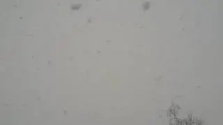 Зима наступила 2 дек.