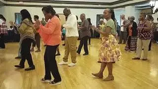Seniors linedance to 'Tucker' as Municipal Gardens hosts luncheon for Seniors linedance groups.