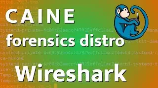 CAINE - 10 - Wireshark - packet analyzer (tutorial)