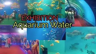 Chennai Exhibition || Aquarium Water 2024