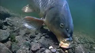 You’re NOT Recasting Enough (Underwater Footage)