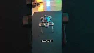 Xiaomi CyberDog