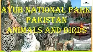 Ayub National Park Rawalpindi, Pakistan.atif edu