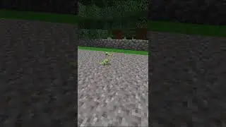 When Two Pokemon Play Leapfrog