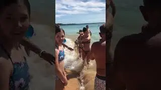 We saw an amazing Octopus in Hawaii 🐙🌊