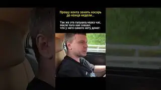 #папич