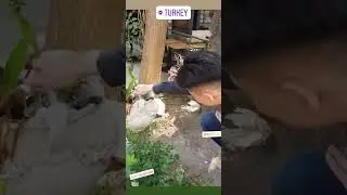 Mike and a cat