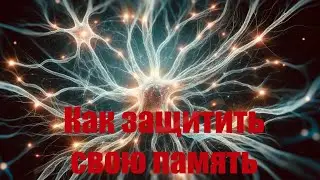 Как защитить свою память: 4 простых шага для ясного ума