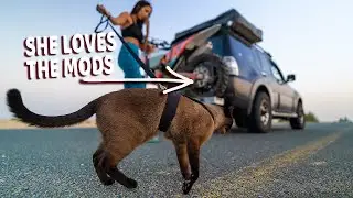 Our 4x4 Walk Around with mods - 4x4 off road dubai