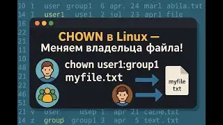 👑 Как работает chown в Linux — смена владельца и группы файлов