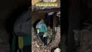 Волонтёры обнаружили под домом невероятное