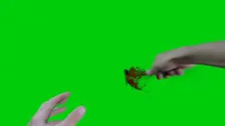 Knife attack with blood - Green screen