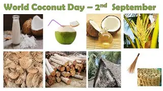 World Coconut Day | Celebration for Coconut