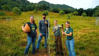 UTV Koa Planting Tour - Kualoa Ranch