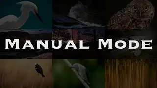 Ditch Auto and Shoot In Manual Mode... Step-by-Step Instructions