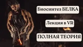 БИОСИНТЕЗ БЕЛКА ЛЕКЦИЯ В VR