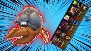 Hermit Crab New Tier 1 Pet (plus testing other pets) - (PvP Pet Battles)