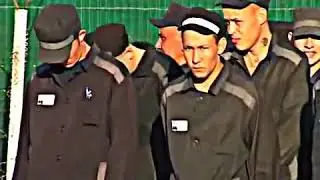 За меня другие отпоют все песни