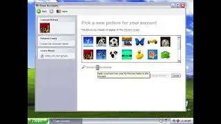 How to set an account avatar on Windows XP