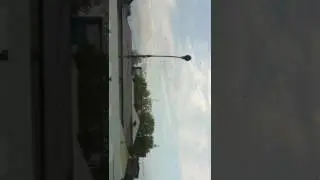налетело кур