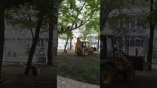 18 июля 2024