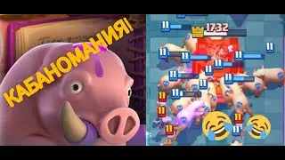 КАБАНОМАНИЯ! СВИНЕЙ МНОГО НЕ БЫВАЕТ!