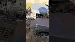 оперятся начал.😄