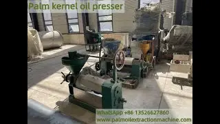 Machine de traitement d'huile de palme