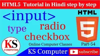 input type checkbox & radio-HTML5