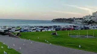 Exotic Bondi Beach