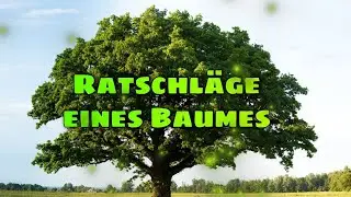 Ratschläge von einem Baum 🌳 Erde Dich ...