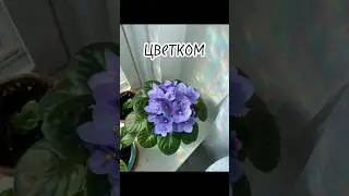 лол я даже не знаю как назвать видео #хочуврек #гача #гачалайф #гачаклуб