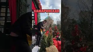 Камаринская на балалайке #камаринская #балалайка #balalaika #kamarinskaya