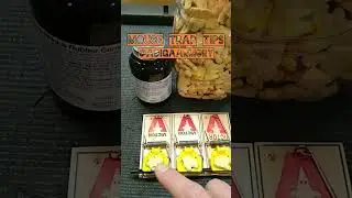 Mouse Trap Tips: How to catch more mice and not lose the bait.
