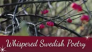 ASMR - Dikter på Svenska - Whispered Swedish Poetry