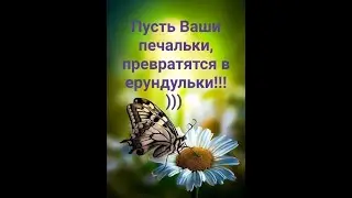 Вступление и разбор курса #Анонс