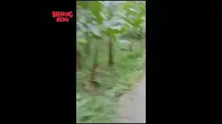 #NGURIRLAGIGAES# ngurir di pegunungan and indah dengan pemandangan nya
